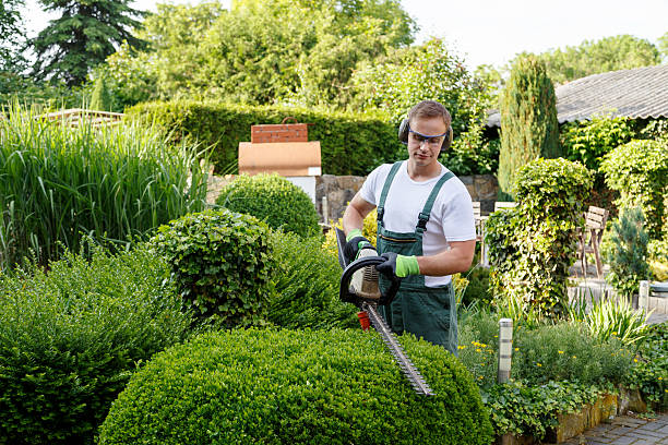 Best Storm Damage Tree Cleanup  in Jefferson Hills, PA